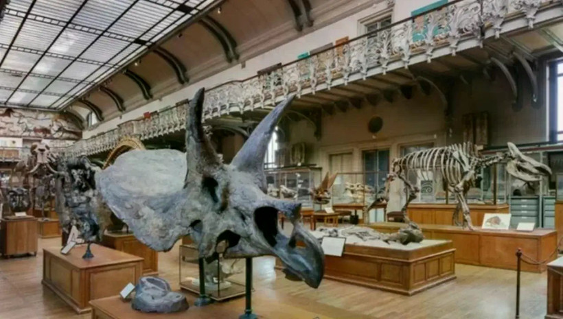 Bảo tàng Lịch sử Tự nhiên Paris. (Nguồn: Zamin)