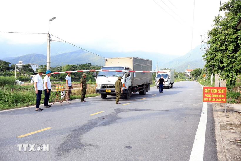 Kiểm tra công tác phòng dịch tả lợn châu Phi. (Ảnh minh họa: Nguyễn Văn Cảnh/TTXVN)