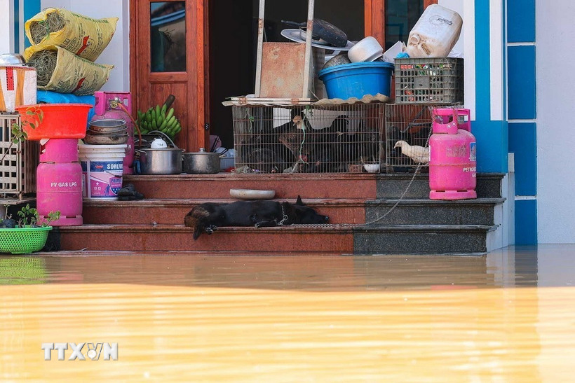 Nước sông Cầu dâng cao bất thường khiến nhiều hộ gia đình thôn Ngô Đạo, xã Đa Phúc (Hà Nội) bị ngập sâu. (Ảnh: Hoàng Hiếu/TTXVN)