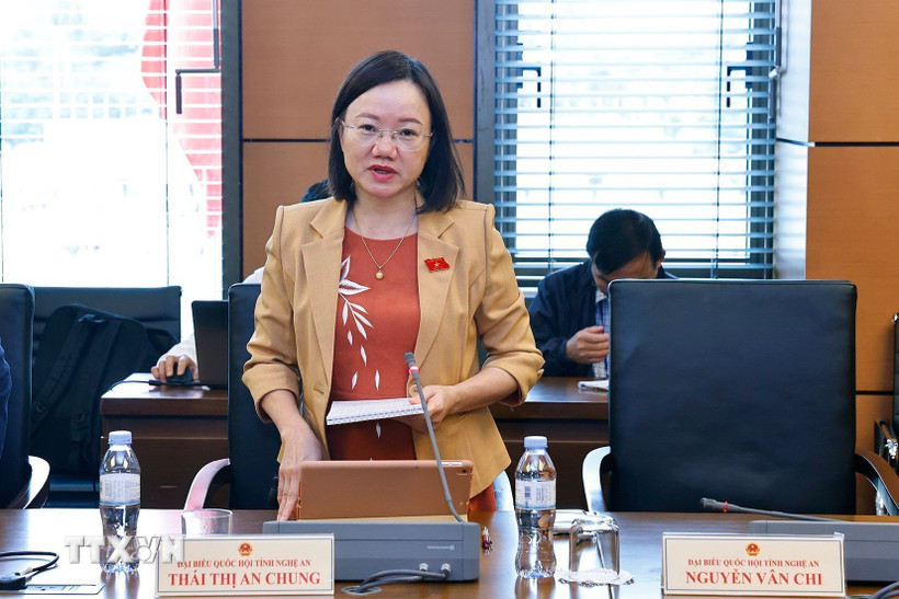 Đại biểu Quốc hội tỉnh Nghệ An Thái Thị An Chung phát biểu. (Ảnh: Doãn Tấn/TTXVN)