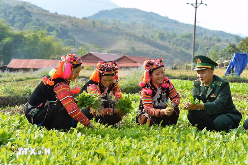 Cán bộ Đồn Biên phòng A Pa Chải (Điện Biên) giúp đỡ người dân phát triển kinh tế, xóa đói, giảm nghèo, góp phần xây dựng nông thôn mới, củng cố mối quan hệ đoàn kết, gắn bó quân dân. (Ảnh: Minh Đức/TTXVN)