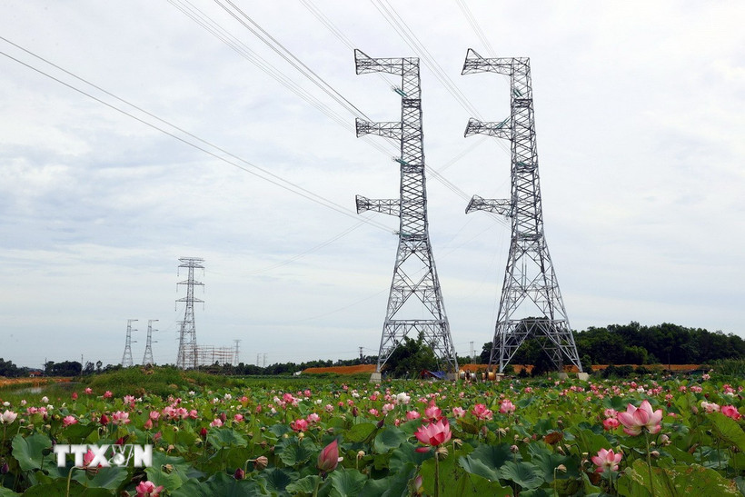 Tuyến đường dây 500kV. (Ảnh: Huy Hùng/TTXVN)