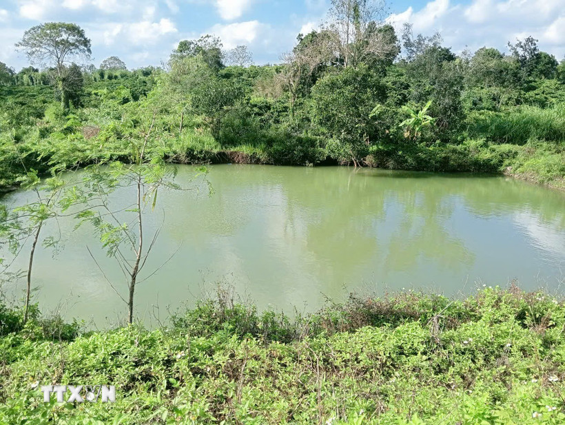 Nơi xảy ra vụ việc thương tâm. (Ảnh: TTXVN phát)