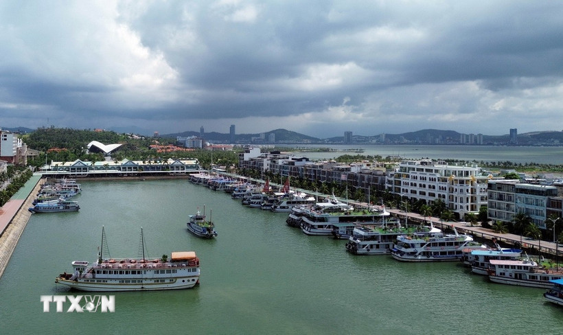 Đội tàu du lịch Hạ Long tại Cảng tàu khách quốc tế Tuần Châu. (Ảnh: Đức Hiếu/TTXVN)