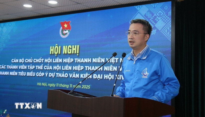 Bí thư Trung ương Đoàn, Chủ tịch Hội Liên hiệp Thanh niên Việt Nam Nguyễn Tường Lâm phát biểu. (Ảnh: Hạnh Quyên/TTXVN)