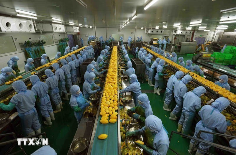 Nhà máy chế biến nông sản của Công ty TNHH B’LaoFood ở khu công nghiệp Lộc Sơn, thành phố Bảo Lộc, là nhà máy lớn nhất của tỉnh Lâm Đồng, có dây chuyền sản xuất với thiết bị máy móc, công nghệ hiện đại của Thụy Điển. (Ảnh: Vũ Sinh/TTXVN)
