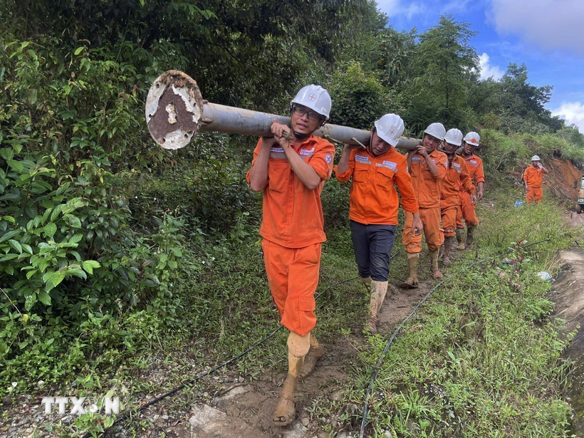 Vận chuyển thiết bị để gia cố cột điện tại các tuyến đường dây đi qua vùng trũng thấp, nền đất yếu. (Ảnh: Đoàn Hữu Trung/TTXVN)