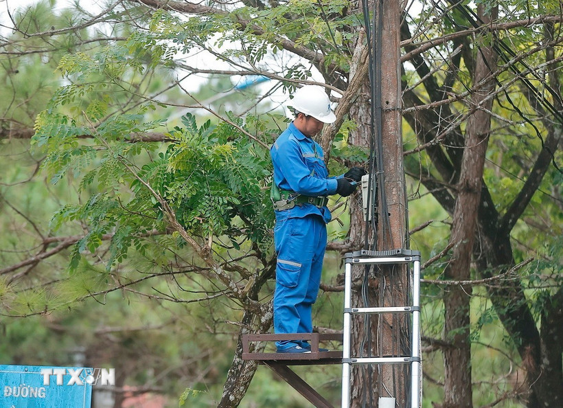 Ảnh minh họa. (Nguồn: TTXVN)