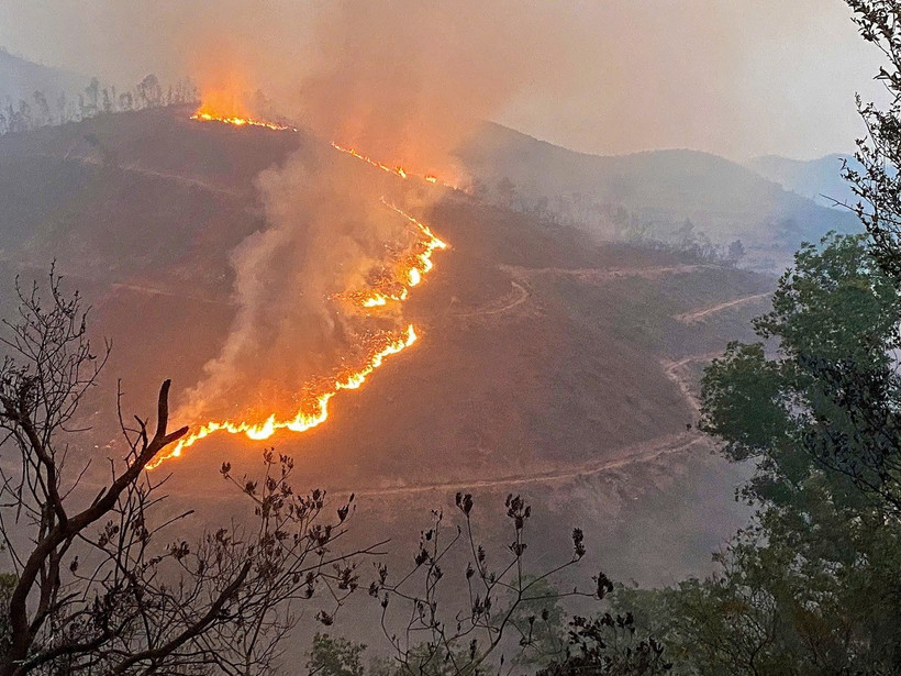 Đám cháy rừng bùng phát từ chiều 20/3 trên địa bàn tổ dân phố Minh Phượng, phường Nham Biền, thành phố Bắc Giang. (Ảnh: TTXVN phát)