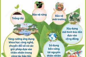 Ngày Quốc tế đa dạng sinh học: Hành động của địa phương cho hiệu quả toàn cầu