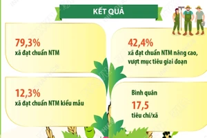Kết quả nổi bật của phong trào “Cả nước chung sức xây dựng nông thôn mới” 