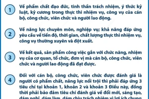 Tiêu chí đánh giá cán bộ, người lao động để sắp xếp và giải quyết chính sách