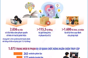 Đấu tranh chống xâm phạm quyền sở hữu trí tuệ đạt kết quả tích cực 