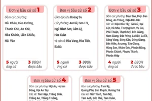 5 đơn vị bầu cử của thành phố Đà Nẵng