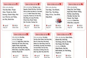 13 đơn vị bầu cử của Thành phố Hồ Chí Minh