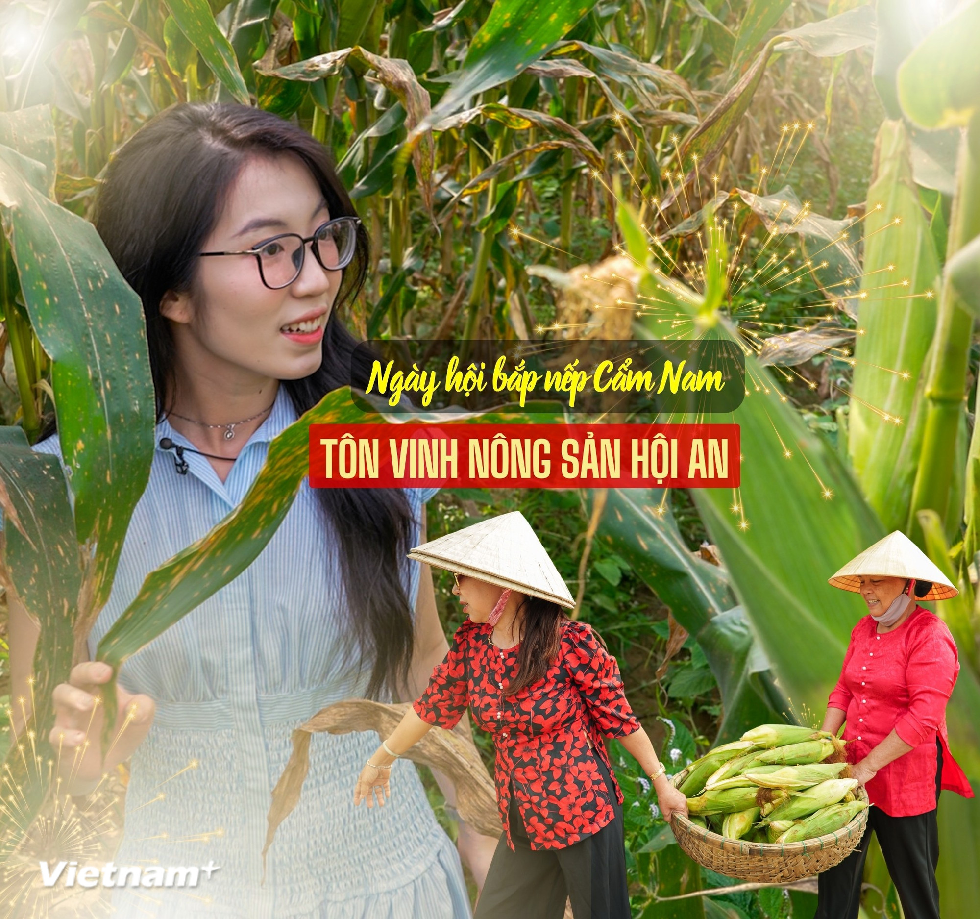 Bắp nếp Cẩm Nam, một trong những đặc sản có hương vị độc đáo của vùng Di sản Văn hóa Thế giới phố cổ Hội An. (Ảnh: Thanh Phong/Vietnam+)