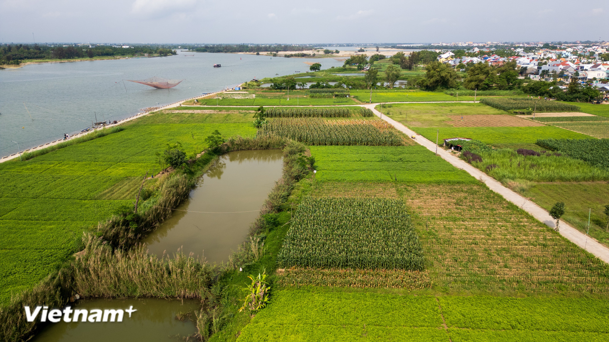 vnp-2026-03-21-lehoi-bapnep-hoian-17.jpg