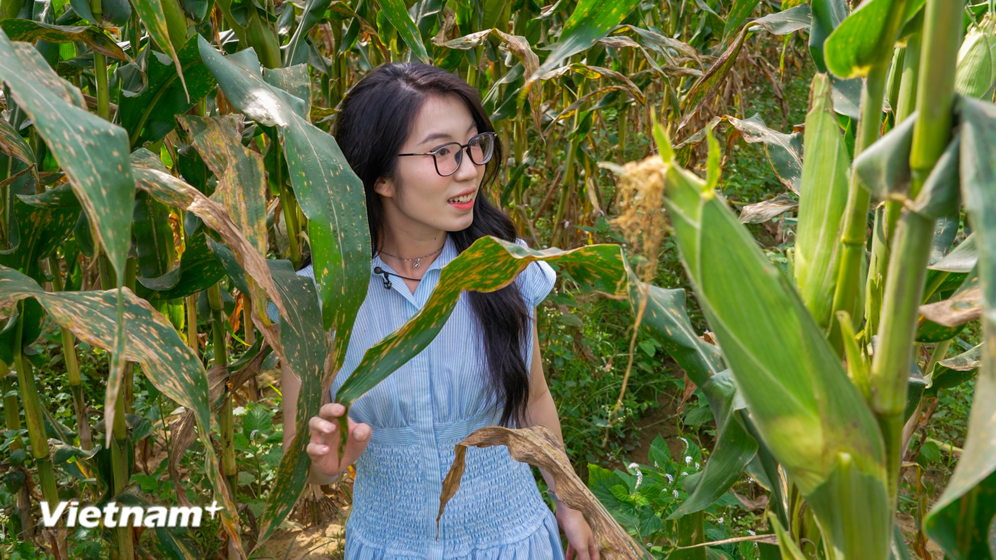 vnp-2026-03-21-lehoi-bapnep-hoian-11.jpg