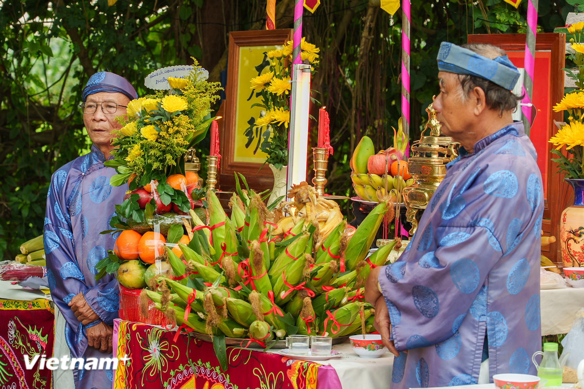vnp-2026-03-21-lehoi-bapnep-hoian-8.jpg