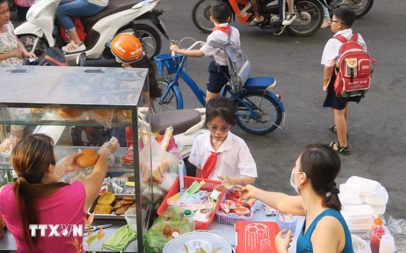 (Ảnh minh họa. Đinh Hằng/TTXVN)