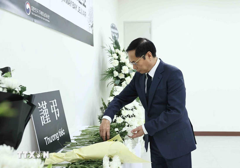 Phó Thủ tướng, Bộ trưởng Bộ Ngoại giao Bùi Thanh Sơn đặt hoa tưởng niệm các nạn nhân thiệt mạng trong vụ tai nạn máy bay tại Hàn Quốc. (Ảnh: An Đăng/TTXVN)