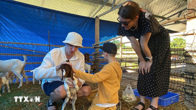 Khách du lịch trải nghiệm tại trang trại nông nghiệp ở tỉnh Khánh Hòa. (Ảnh: TTXVN phát)