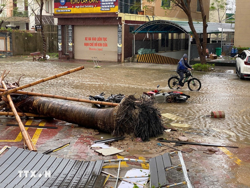 Cây cối bị quật ngã, mái tôn bay, nước ngập và một số phương tiện bị hư hỏng khi bão số 10 đổ bộ tỉnh Nghệ An. (Ảnh: Trịnh Duy Hưng/TTXVN)