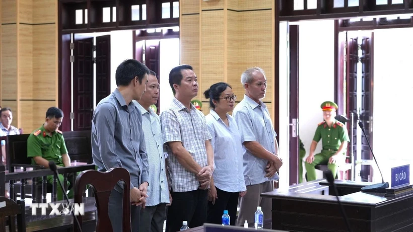 Các bị cáo tại phiên tòa. (Ảnh: Minh Phú/TTXVN)