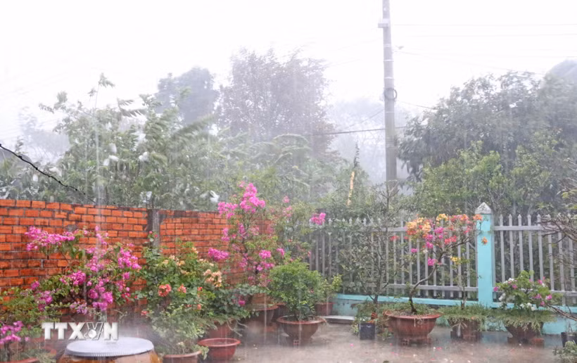 Cơn mưa lớn, góp phần giải hạn và làm dịu bầu không khí khô nóng đến 35-36 độ C trên địa bàn tỉnh An Giang. (Ảnh: Công Mạo/TTXVN)