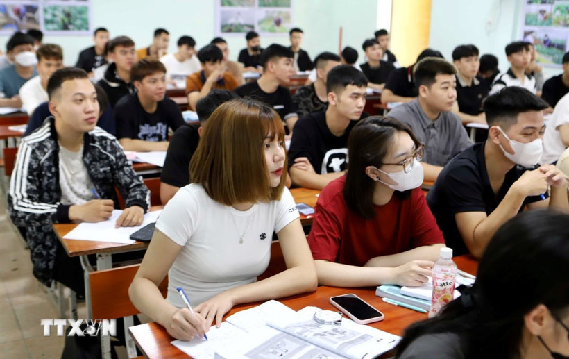 Người lao động học tiếng Hàn tại Trung tâm Dịch vụ việc làm (Sở Lao động – Thương binh và Xã hội tỉnh Thái Bình) trước khi đi xuất khẩu. (Ảnh: Thế Duyệt/TTXVN)