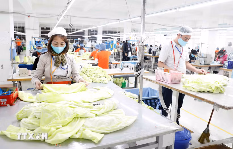 May hàng xuất khẩu sang thị trường Nhật Bản tại Công ty May Hưng Việt, Hưng Yên. (Ảnh: Trần Việt/TTXVN)
