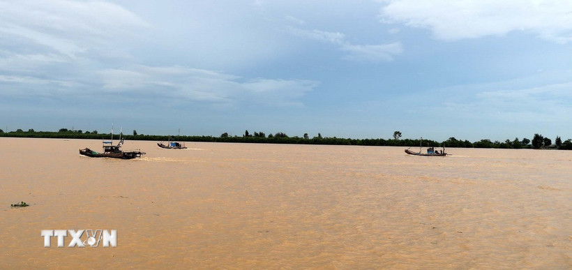 Tàu thuyền tại tỉnh Thanh Hóa đang về nơi trú bão. (Ảnh: Nguyễn Nam/TTXVN)