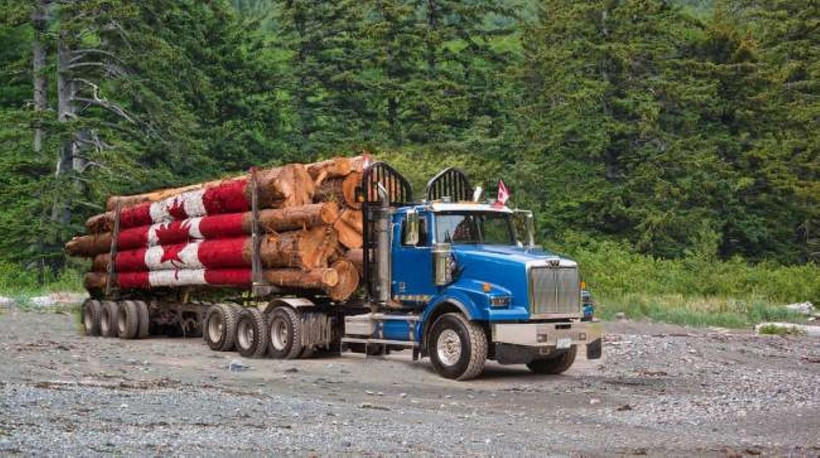 (Ảnh minh họa. Nguồn: Getty Images)