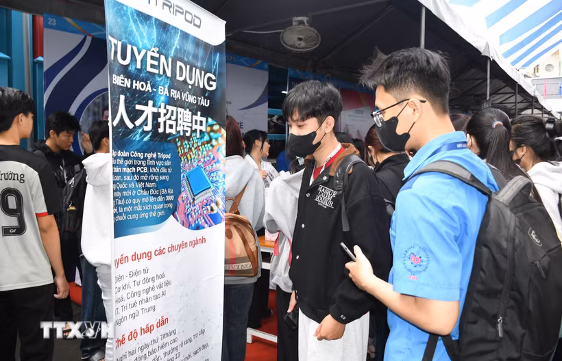 Sinh viên, người lao động tìm việc tại ngày hội tuyển dụng việc làm. (Ảnh: Thanh Vũ/TTXVN)