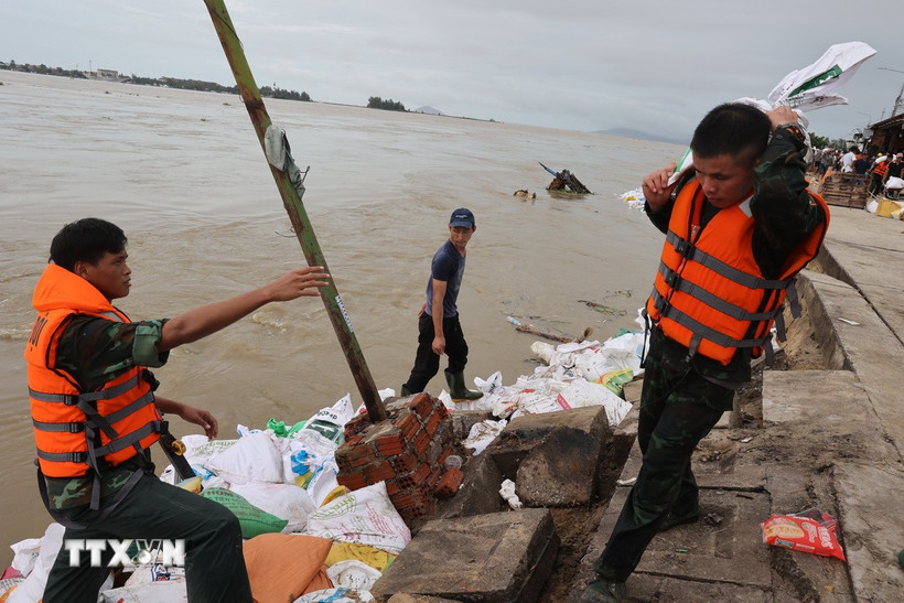 Hàng trăm cán bộ, chiến sĩ Sư đoàn 315 (Quân khu 5) cùng hân dân chạy đua cùng thời gian, gia cố bờ kè khu vực bị sạt lở. (Ảnh: Anh Dũng/TTXVN)