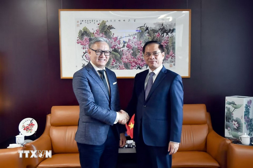 Phó Thủ tướng, Bộ trưởng Bộ ngoại giao Bùi Thanh Sơn (phải) gặp Bộ trưởng Ngoại giao Lào Thongsavanh Phomvihane. (Ảnh: TTXVN phát)