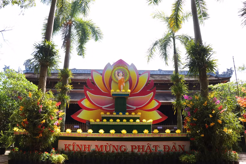 (Ảnh minh họa. Tường Vi/TTXVN)