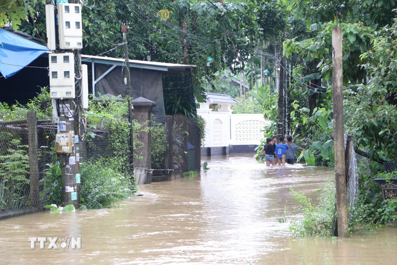 (Ảnh minh họa. Đinh Hương/TTXVN)