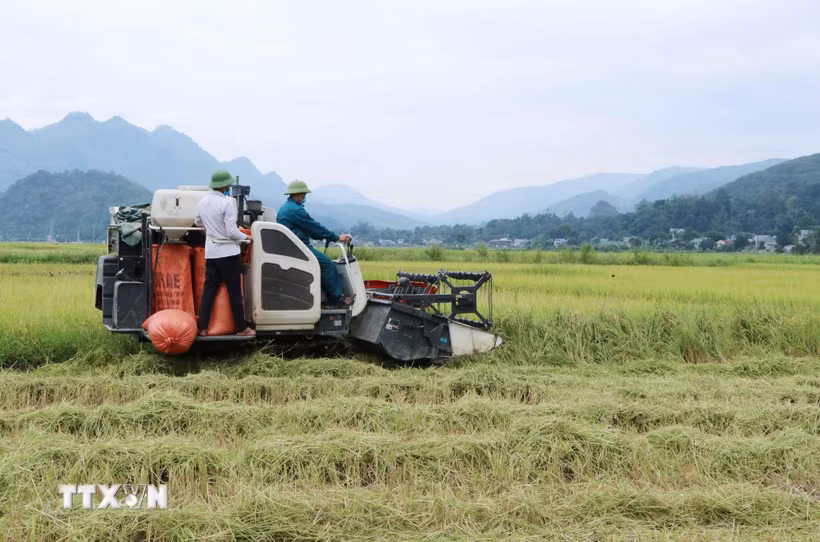 Việc đẩy mạnh cơ giới hóa nông nghiệp giúp người dân thay đổi nhận thức trong ứng dụng khoa học kỹ thuật và nâng cao hiệu quả kinh tế. (Ảnh: Đình Thùy/TTXVN)