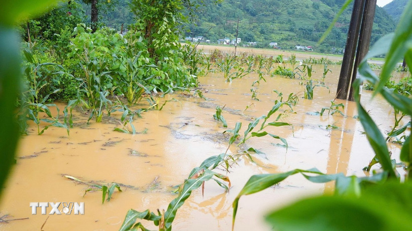 (Ảnh minh họa. Nguồn: TTXVN phát)