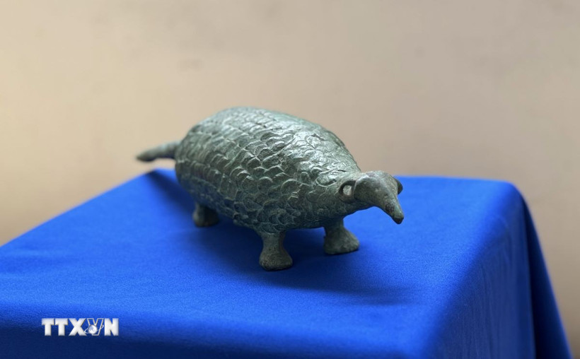 Bảo vật quốc gia tượng đồng Tê tê Long Giao được trưng bày tại Bảo tàng Đồng Nai. (Ảnh: Lê Xuân/TTXVN)