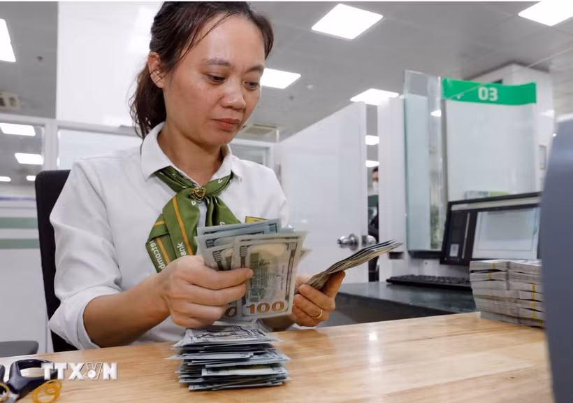 (Ảnh: Trần Việt/TTXVN)