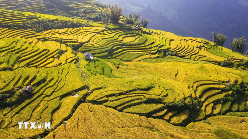 Thung lũng ruộng bậc thang ở Y Tý. (Ảnh: Thành Đạt/TTXVN)