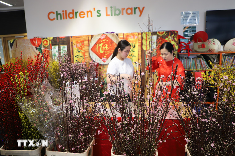 Hoa đào, biểu tượng cho vẻ đẹp của Tết Việt, thu hút khách tại lễ hội. (Ảnh: Phong Hà/TTXVN)