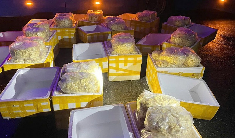 240kg chả mực không có thông tin về nguồn gốc xuất xứ được lực lượng chức năng thu giữ. (Ảnh: Báo Hà Tĩnh)