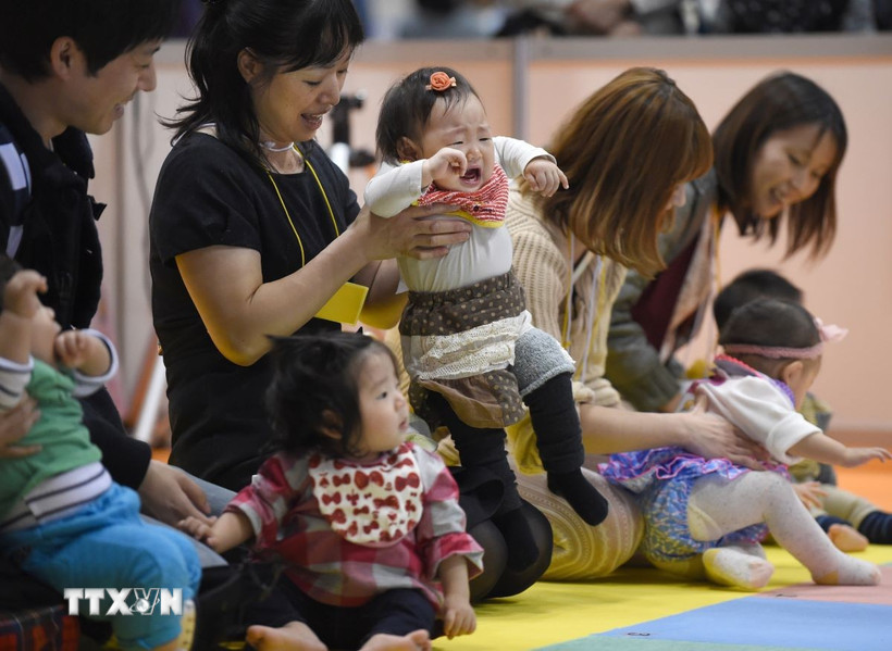 Các em bé tham gia cuộc thi bò dành cho trẻ sơ sinh tại Yokohama,ngoại ô Tokyo, Nhật Bản. (Ảnh: AFP/TTXVN)