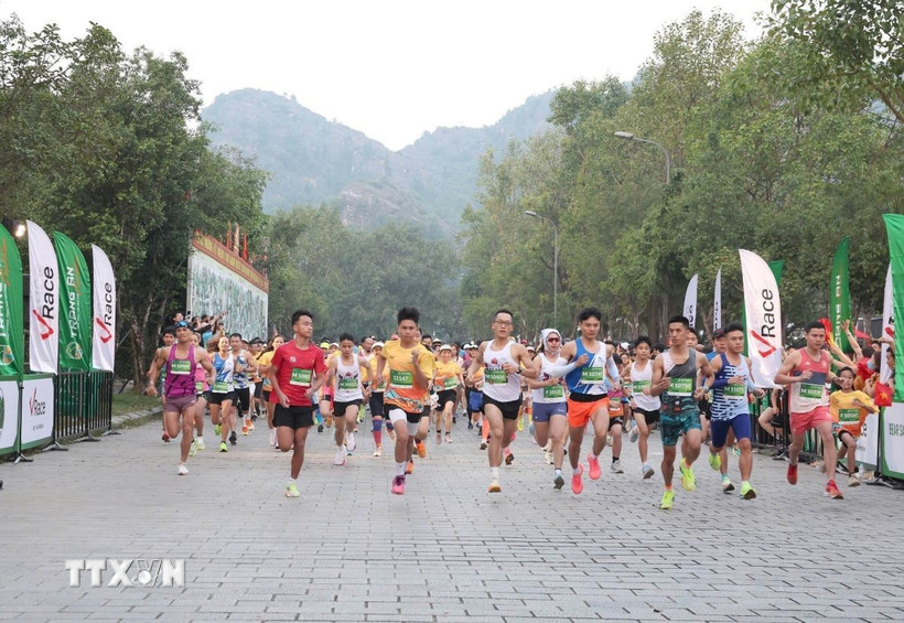 (Ảnh minh họa. Thùy Dung/TTXVN)