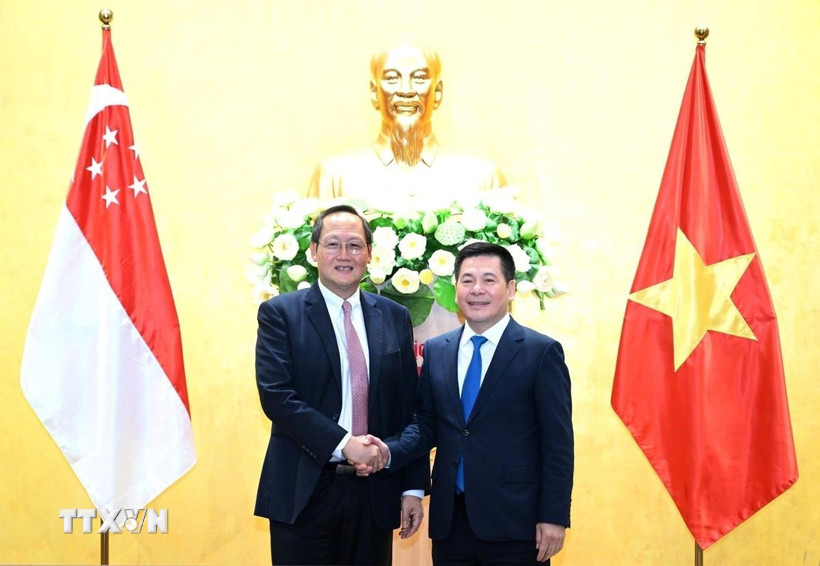 Bộ trưởng Công Thương Việt Nam Nguyễn Hồng Diên hội đàm với Bộ trưởng Công Thương Singapore Tan See Leng về việc mở rộng hợp tác kinh tế-thương mại-năng lượng hồi tháng 3/2024. (Ảnh: Trần Việt/TTXVN)
