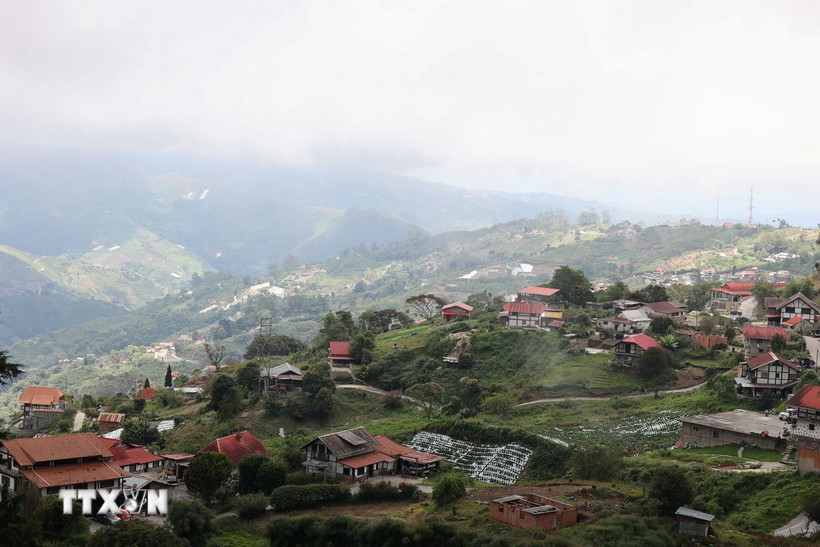 Toàn cảnh Colonia Tovar nhìn từ trên cao. Thị trấn nhỏ nổi bật giữa núi rừng xanh thẳm với những mái ngói đỏ đặc trưng. (Ảnh: Phi Hùng/TTXVN)