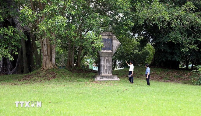 Cây đa Tân Trào, nơi Đại tướng Võ Nguyên Giáp đọc bản Quân lệnh số 1, làm lễ xuất quân tiến về giải phóng Thủ đô Hà Nội. (Ảnh: Quang Cường/TTXVN)